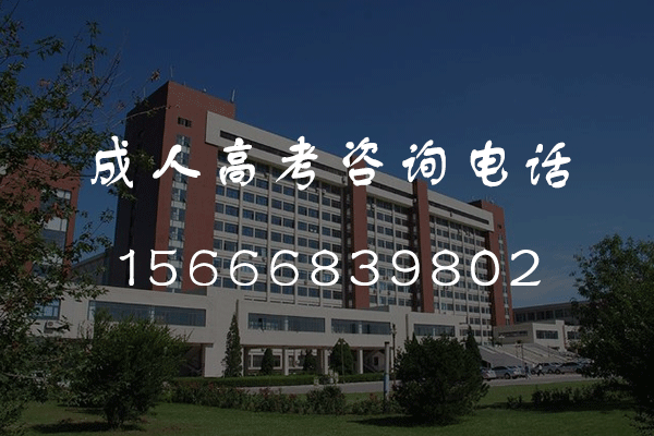 2024年菏泽成人高考高起本语文题型