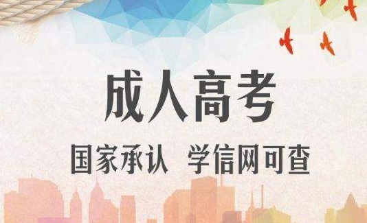 2024年菏泽成考专升本报考流程